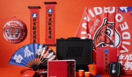 新年礼盒爆料视频大全集,视频大全集带你领略年度盛宴