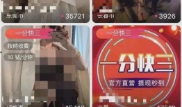 主播爆料免费视频网站,主播爆料带你探秘