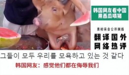 韩国人免费吃瓜视频大全,揭秘热门娱乐瞬间