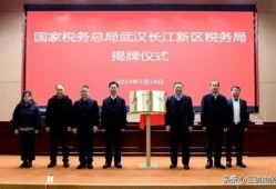 武汉长江爆料最新消息新闻,聚焦突发新闻事件详情