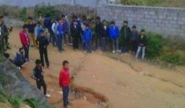 广西最新爆料新闻网,聚焦热点事件，揭秘幕后真相