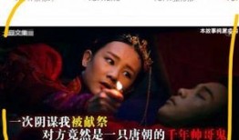 张翰引爆料视频,独家爆料视频深度解析