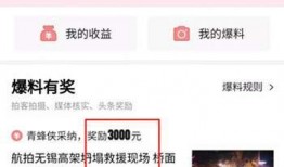 今日头条我的爆料已收录,揭秘事件背后真相