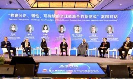 石油高管爆料视频最新