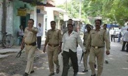 温县网红吃瓜事件始末,一场网络狂欢背后的真相与反思