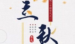 千禾吃瓜小说免费阅读,揭秘小说世界里的甜蜜与苦涩