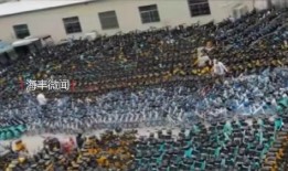 海丰最近爆料新闻,最新爆料揭示惊人真相