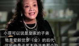 张兰 爆料吸毒视频大全,揭秘娱乐圈隐秘面纱