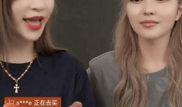 网红助理爆料视频大全,揭秘网红幕后真相
