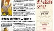 关于度假村的爆料新闻报道,揭秘奢华背后的惊人内幕