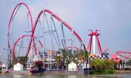 武汉欢乐谷爆料情侣视频,浪漫视频引网友热议