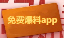 民间热门爆料视频,真相与谣言的交织