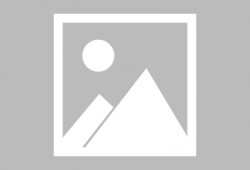 精英僵尸爆料攻略大全最新,全面解析，轻松通关攻略揭秘