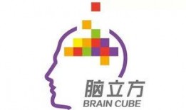 烟台爆料最新新闻联播,新闻联播聚焦城市新发展与民生改善