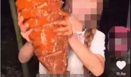 网红提子爆料视频在哪看,观看途径大公开