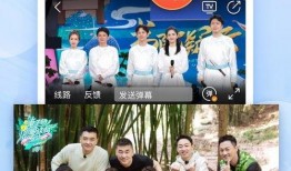 电视在线观看免费,电视在线免费观看新体验