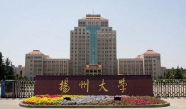 扬州大学爆料事件视频,视频揭露惊人真相