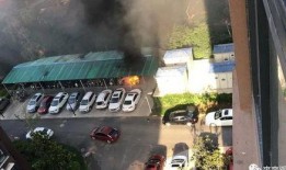 青年城门前爆料事件视频,视频揭露惊人真相