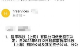 阿里爆料裁员最新消息新闻,揭秘裁员背后的真相与影响