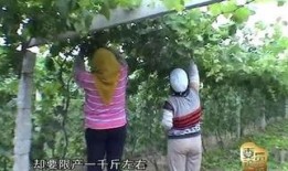 山庄挑情在线观看,浪漫邂逅，激情燃烧的秘境之旅