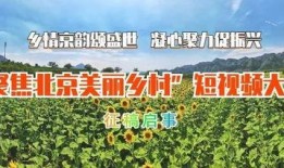 美丽乡村爆料视频,视频带你领略乡村新风貌