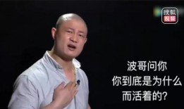 爆料波哥励志视频大全,点燃梦想，砥砺前行的力量源泉