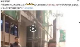 厦门翔安爆料事件视频曝光,真相与争议交织