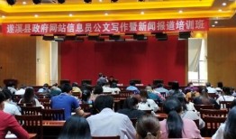 遂溪县新闻爆料网站官网,聚焦本土热点，传递民生声音