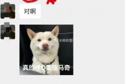 网红吃瓜丑姐姐是谁呀,她的真实身份与走红之路