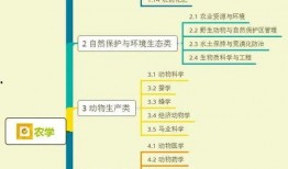 三菱电梯爆料视频大全集,揭秘行业真相与技术创新