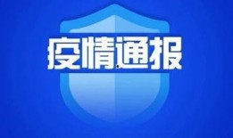遂溪县新闻爆料网站官网,聚焦本土热点，传递民生声音