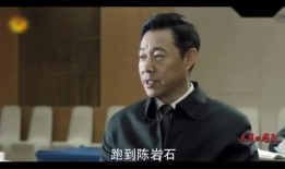 大叔爆料娱乐圈,揭秘明星背后的真实故事